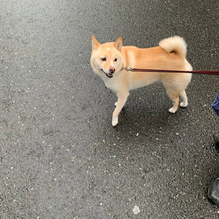 7109566c b8b6 4dfc 98fa 99672a3cbe4b 1630794939961