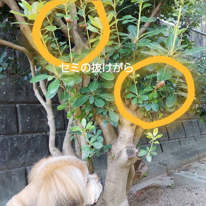 710978ef ef36 41ed ab31 0dfe17cdce2e 1626268077900