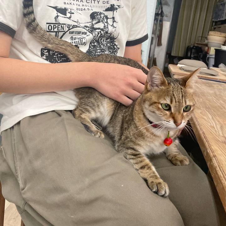 71097a43 3151 4b00 90f0 911dd3a40790 1748152459478