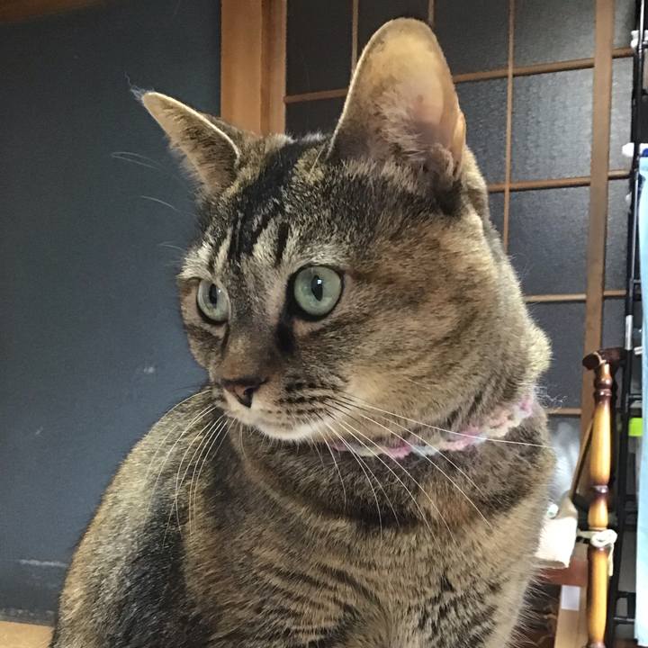 71099af1 1e21 4f66 abb1 588345a2c0e2 1700874518108