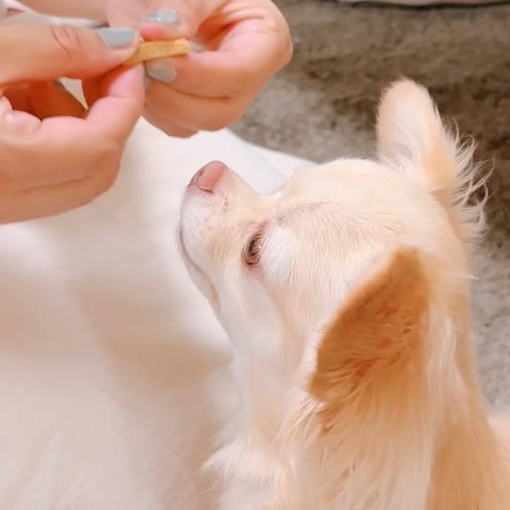 71099d0b fe5c 46dc b4d8 b9da700f881d 1659836474267