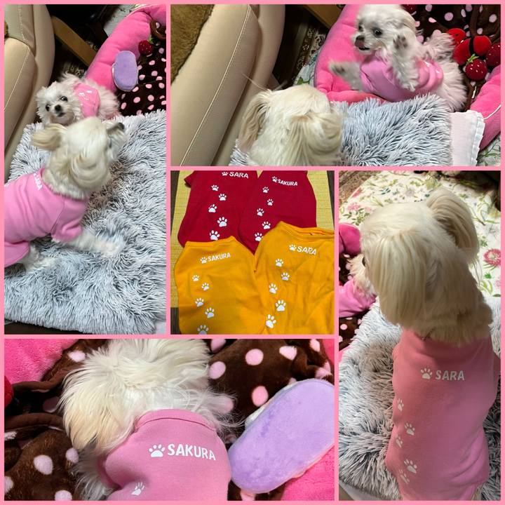 710a2b00 cf73 4352 84f5 7d3426f98b04 1705219278643