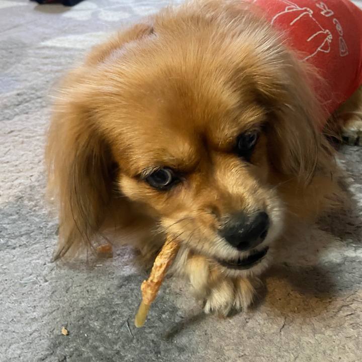 710a3232 6fd0 4237 8578 2a61ee5ef075 1637532254168