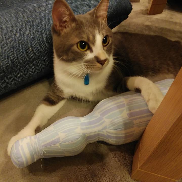 710a32ce 4eef 4d75 b3e7 0a25e356c1a4 1595686401857