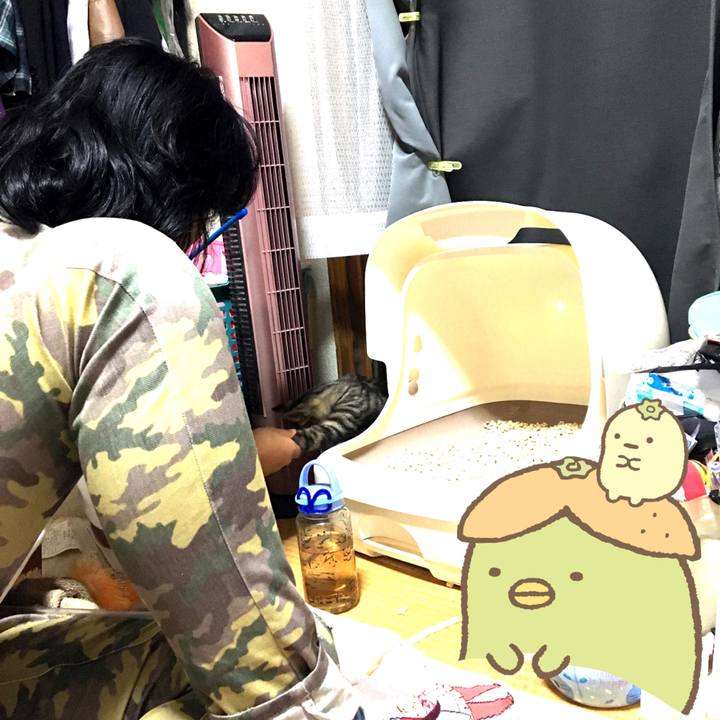 710a5d3f 12dc 4175 990c 47bd142f4d25 1537277201282