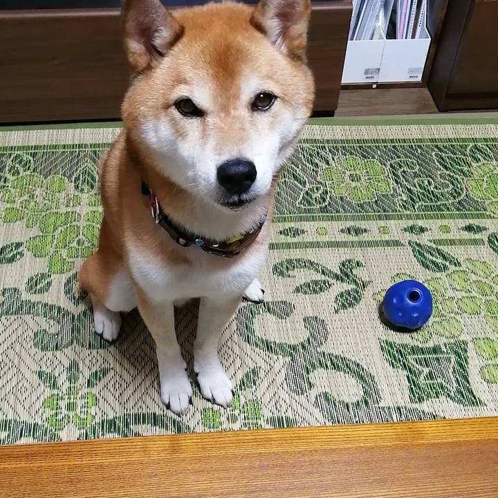 710a7215 d9cd 4794 b6bc a2726a2aa925 1662704496143