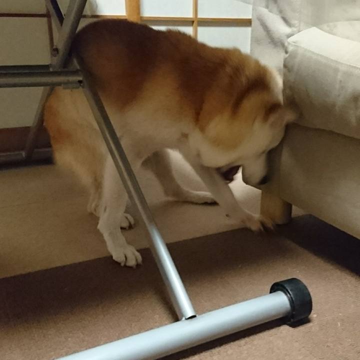 710a88db c4e6 4f5e b6dd 21231571494b 1567430054880