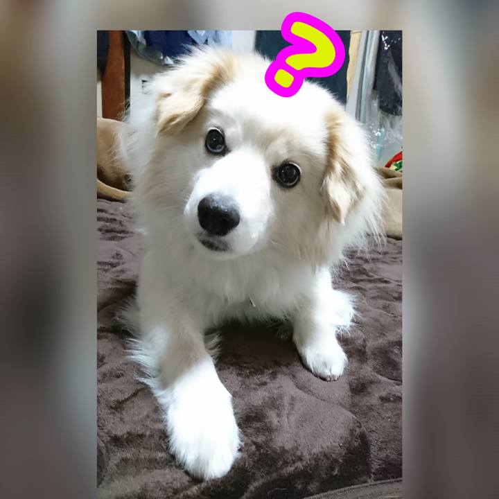 710ad5b5 bc45 447a 98df edcee161879f 1664328609480