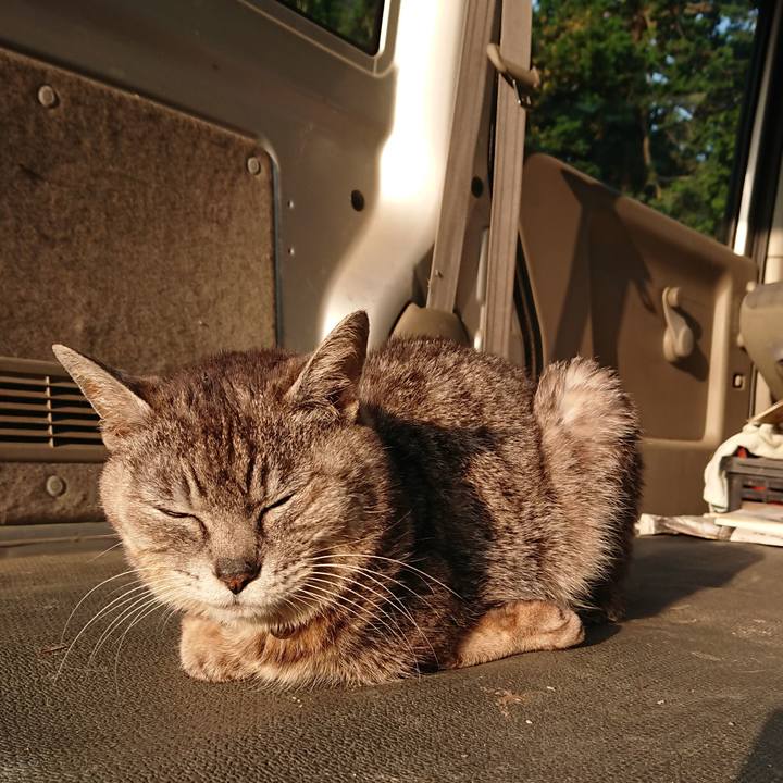 710afaa5 ca35 46f2 b806 510e94741e32 1591303426855