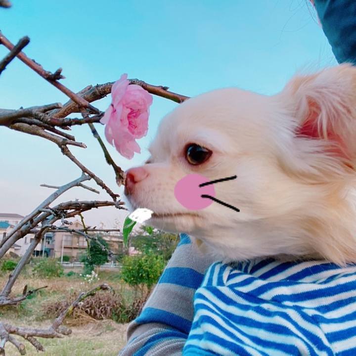 710b8919 e966 4826 85b0 1d4c8bf5ba3b 1636006601600