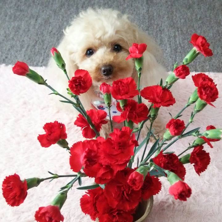 710b9215 ef7f 4850 824e b78df58aa416 1526381080152