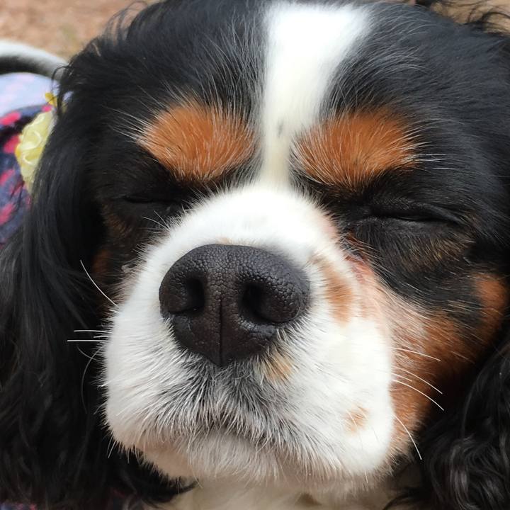 710b9c1e 441b 452b 827c 9ae0c71d0600 1523418040970