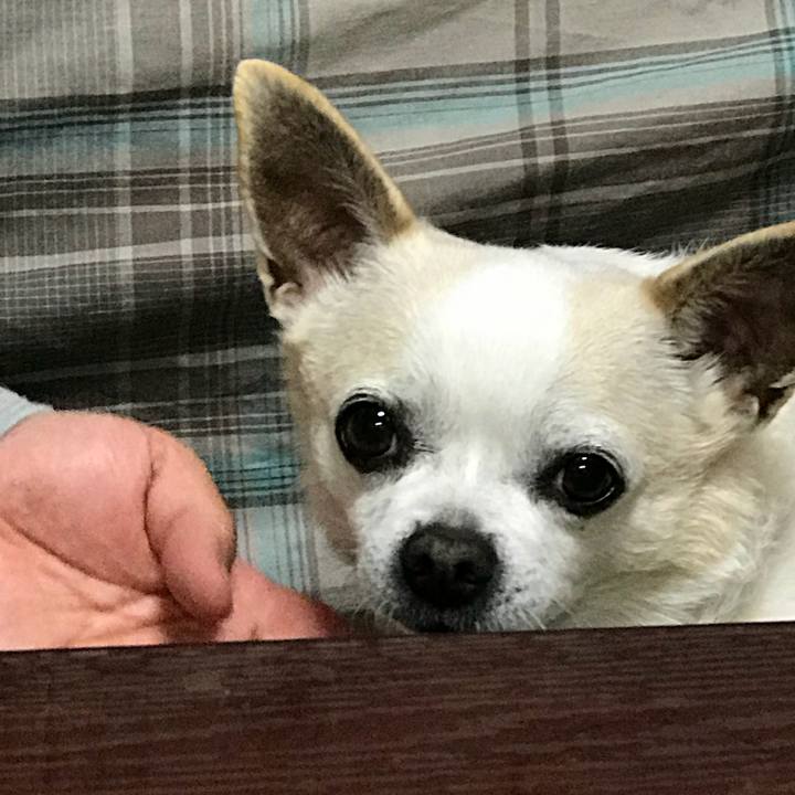 710bb1a3 5b3f 4976 bd14 dfef13085522 1523539455694