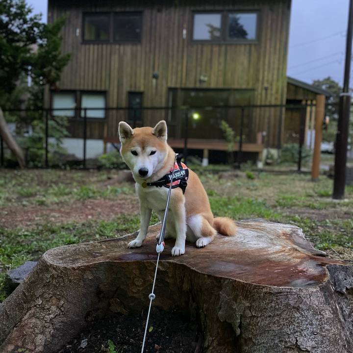 710bcd10 ed38 4e93 9526 5450f659f274 1602500580458