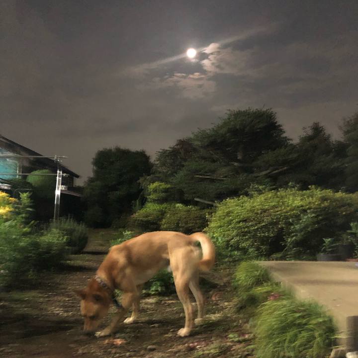 710befa3 42f5 4f48 a7d1 1f826a7dcf35 1563368580093