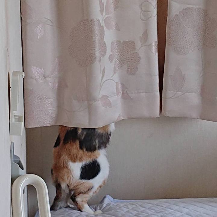 710bfd3d 6071 4990 a6e3 90e470e10f75 1561650784736