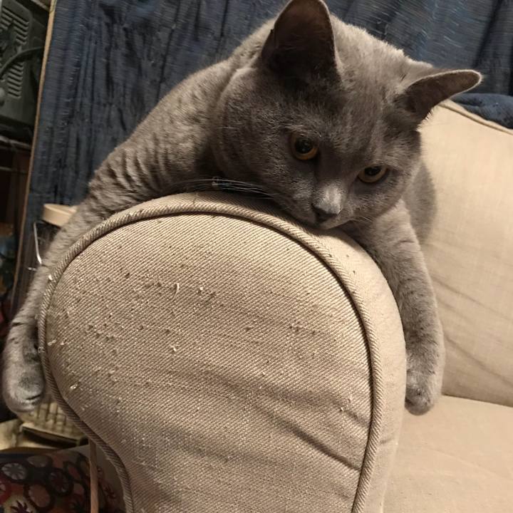 710c188b a6bf 458f bf9c d095efadd797 1519258617064