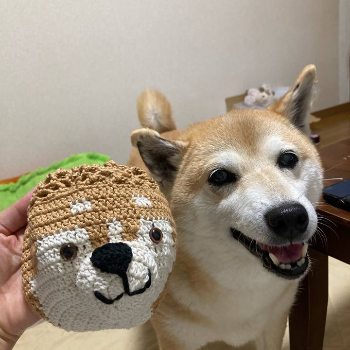 710c3d97 e734 4b67 b7fe 89be1f1a99ad 1622760145807