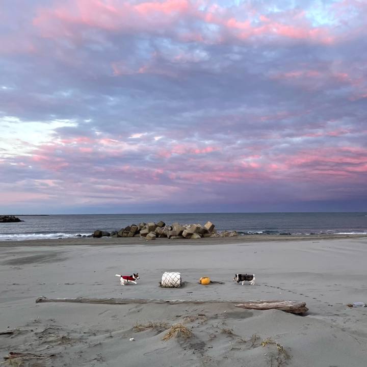 710ce5bf f8de 41bd 99d1 0ba8626c1ca7 1763938908944