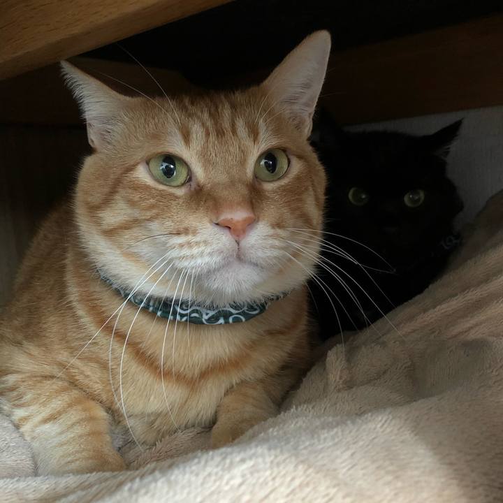 710d5787 cd9b 4a45 95a5 1819bb8d90cb 1577770784482