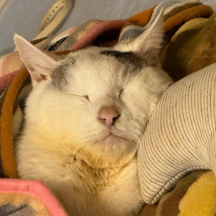 710d9701 aaba 440e 84f2 2f93aa049264 1765357483671