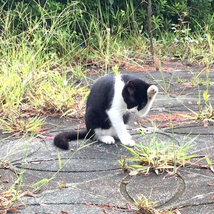 710dccfc 6468 4a9b a400 c2ff74b279aa 1537090634405