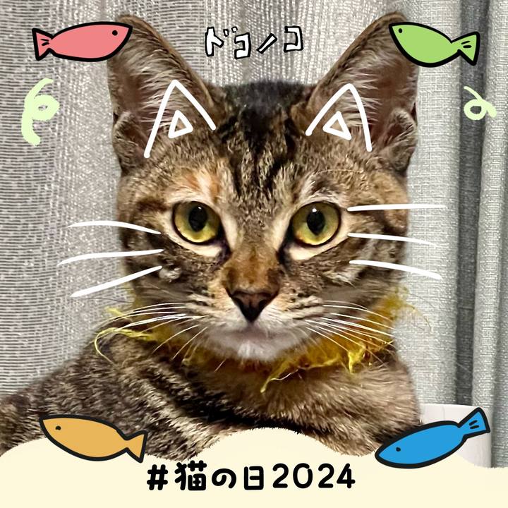 710dd145 8428 47f5 944e a11fee9f232a 1708565371551