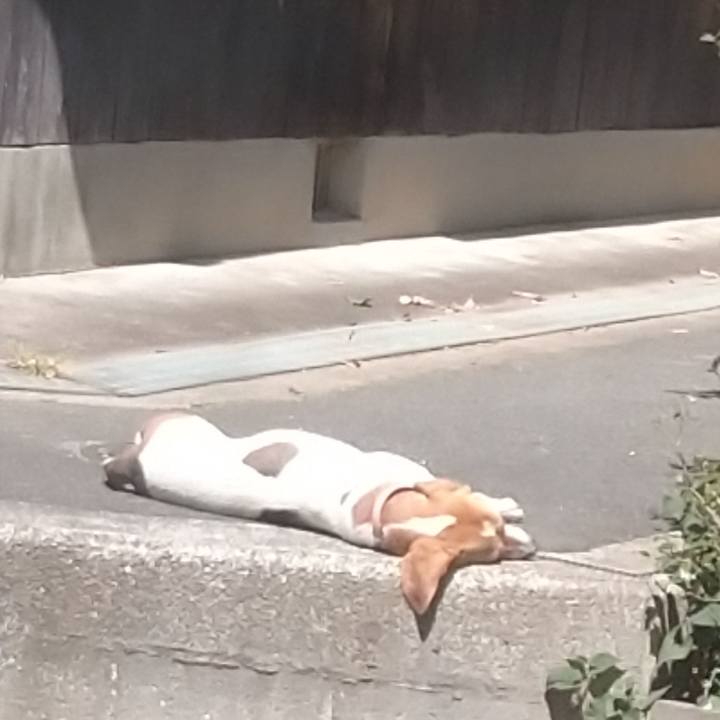 710de986 3589 42ca bae7 f5db1993e62d 1588830448926