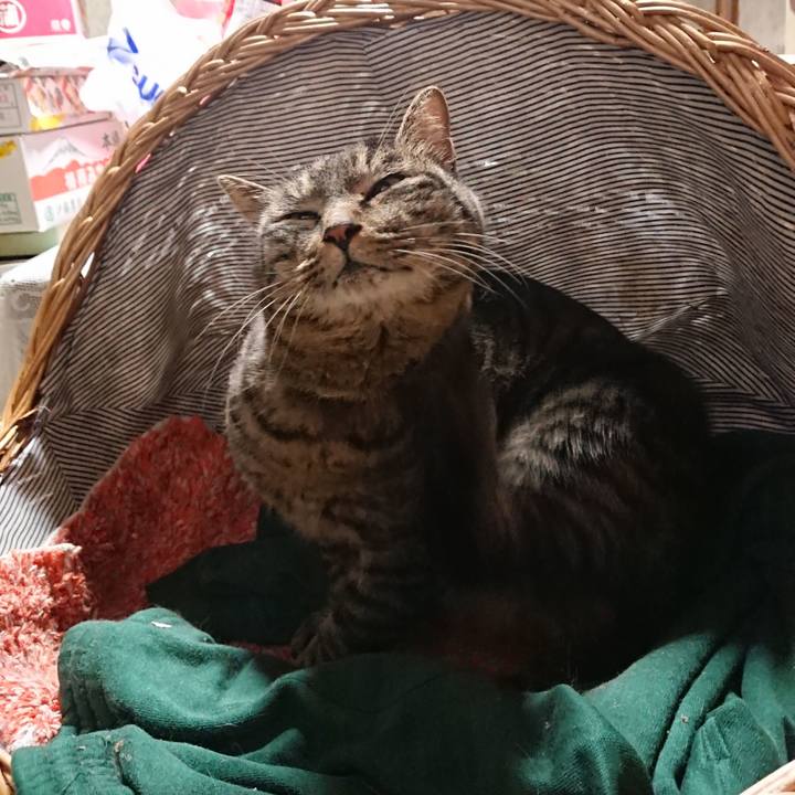 710e22f2 f4f5 4357 b00a d829a30ee20f 1643286352191