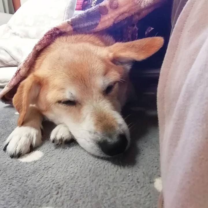 710e6258 93c5 4da7 9d20 445fa37b9a2b 1607212919584