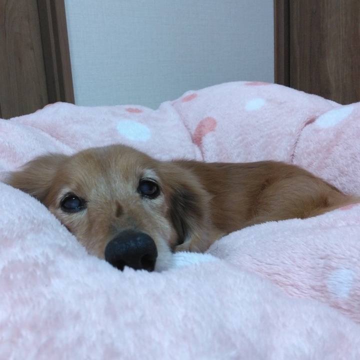 710f067e c021 4ea2 ab26 a97d6eaae23e 1673775582092