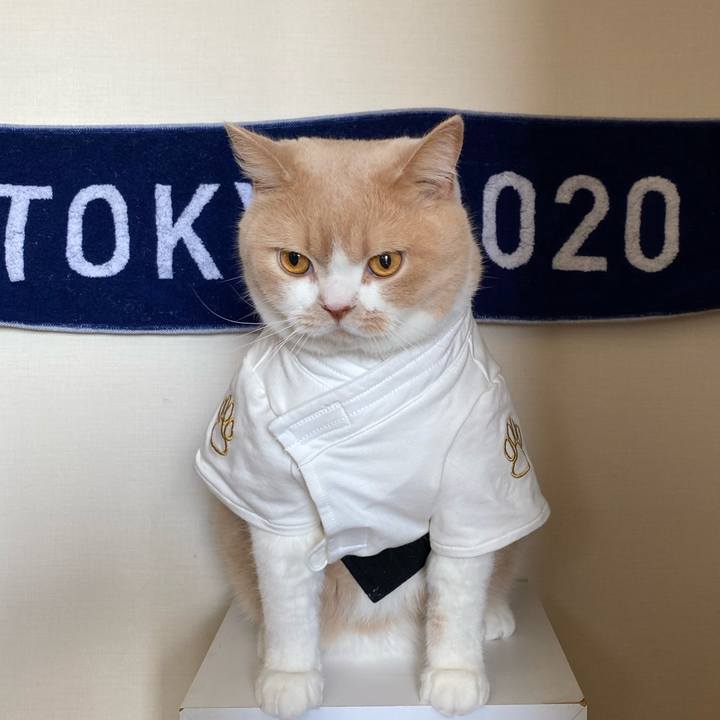 710f55a7 a7eb 46e2 9c0c 407a1e2bf3d4 1627006556749