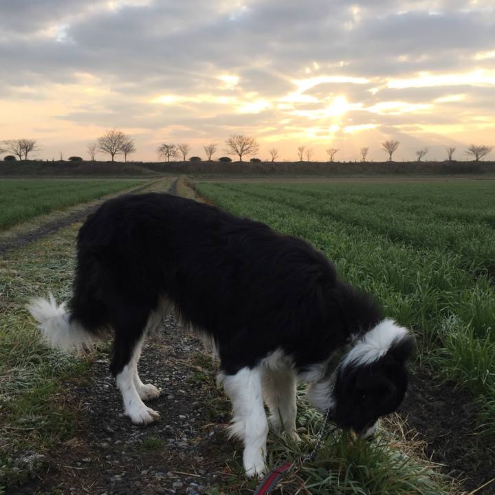 710f680f a77e 4aa8 bde9 d59d59a307dc 1579562605334