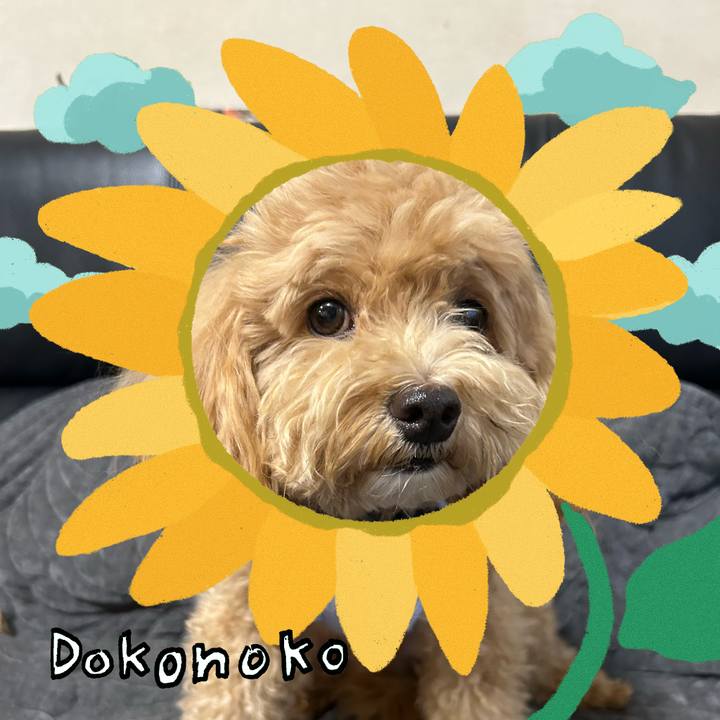 710feb93 d846 4e50 9050 7e98b0071571 1723702006514