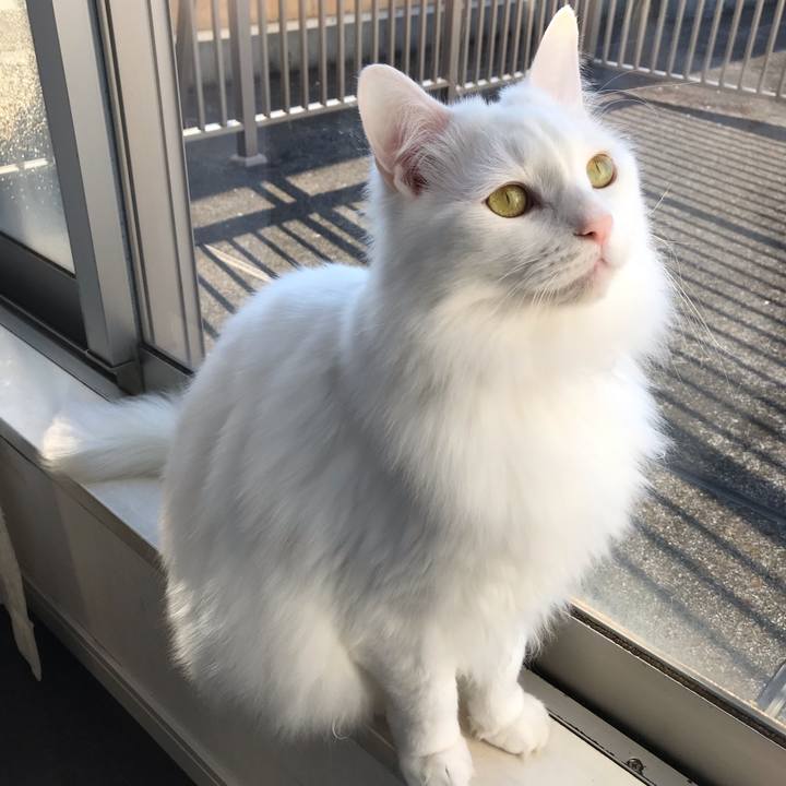 71100d8c 4b95 41af bda3 feed07b9be87 1546772468902