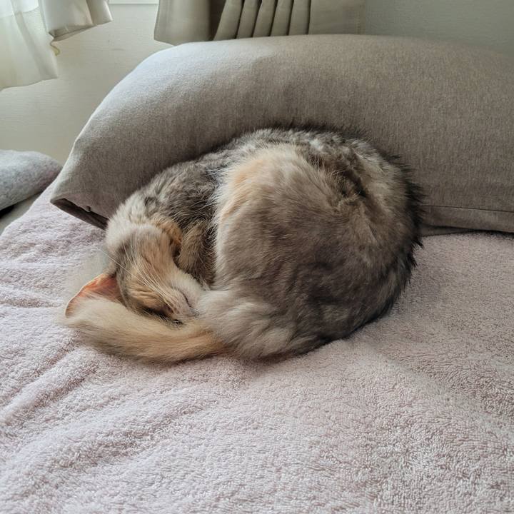 7110103d 29b4 4a04 a16a 5feff42b7f6a 1632964590289