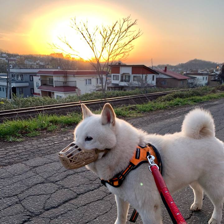 71101aee c4f0 4c0a b4db a47fb817ab11 1650746816801