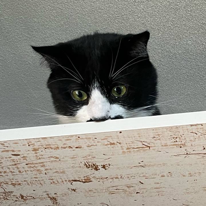 711040bb 2f4b 475b bd85 d20ae2b99f6f 1654134759305