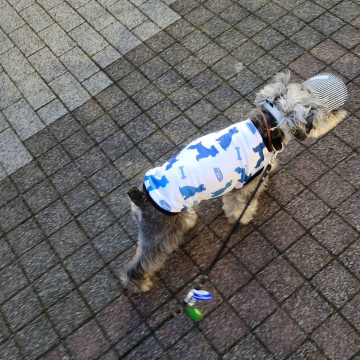 7110467c 3970 49b2 8ff4 08983b136ff5 1658489249769