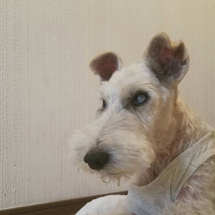 71104897 9862 4480 893c e02046ac194a 1596460528730