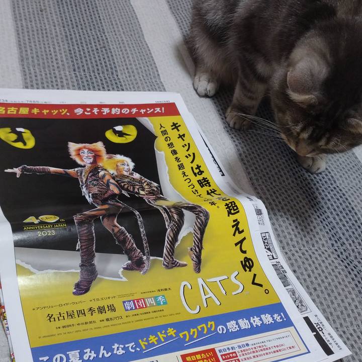 711062c4 55ba 4149 aab6 5ce35a1770a8 1691673047282