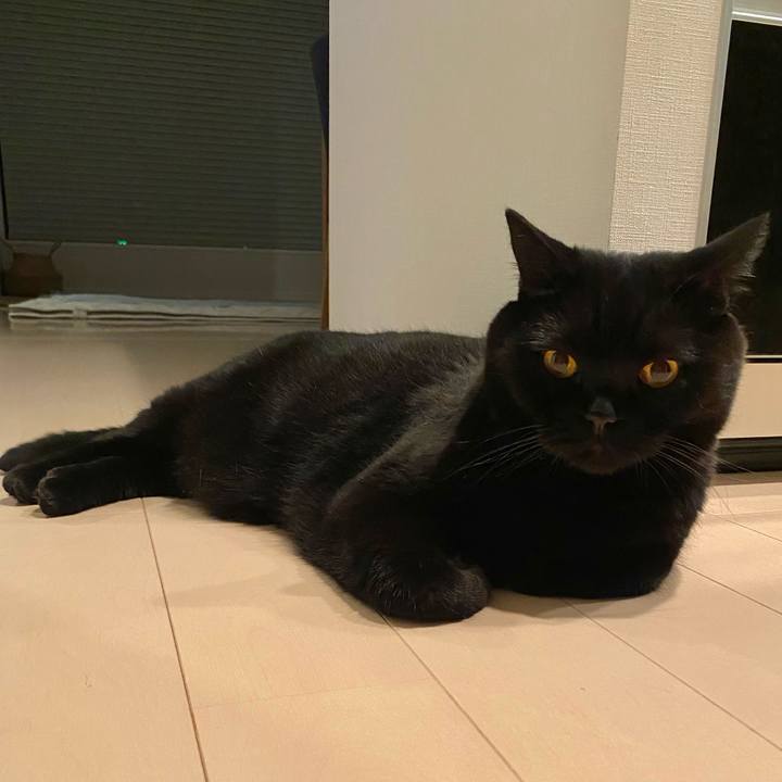 7110fed7 ce9d 4d03 9d60 840973f8e75a 1632227301173