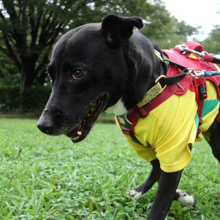 71111d4f cb1c 445a 9ffa 9321fe728bb4 1628898848404