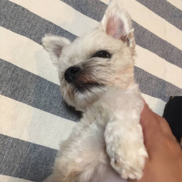 71112ca0 bd2c 4816 9995 ea8845edf2b4 1525692806505