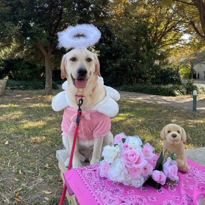 71115e70 9490 4485 b53b 430d3007c82b 1635304828384