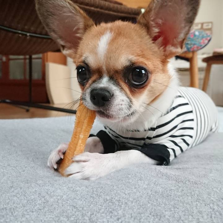 711171eb 4a58 489d 9e09 60f43b6f4f84 1552560293615