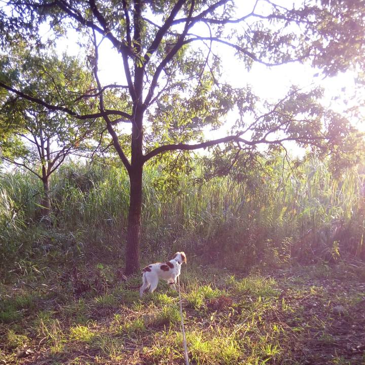 711176c1 dbd2 429b 99cc f56444d5c14e 1509673590615