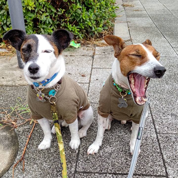 711178ae bb01 4e7d 8e42 a9eff5cb1400 1665186069486