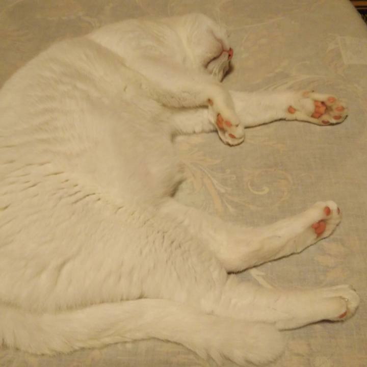 71119ea7 216c 4f43 bb74 0bba54048061 1568908577168