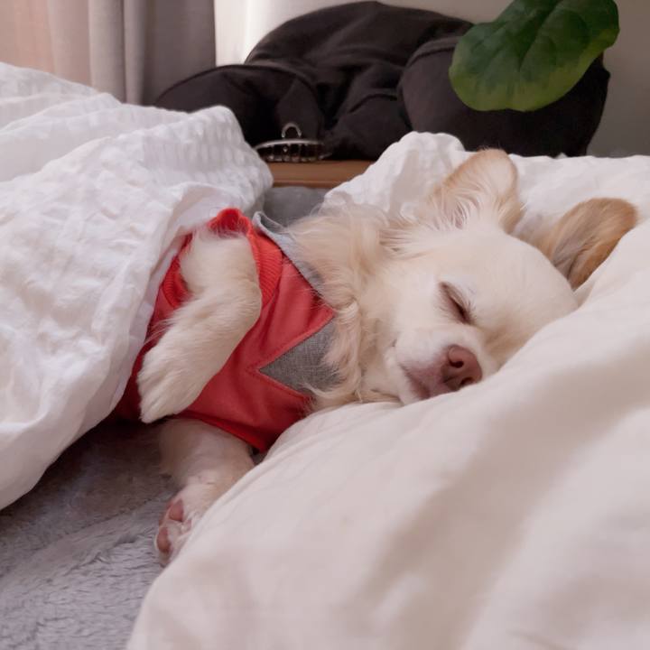 7111b6f0 232b 4230 adf8 70d8d58280a8 1743126438386